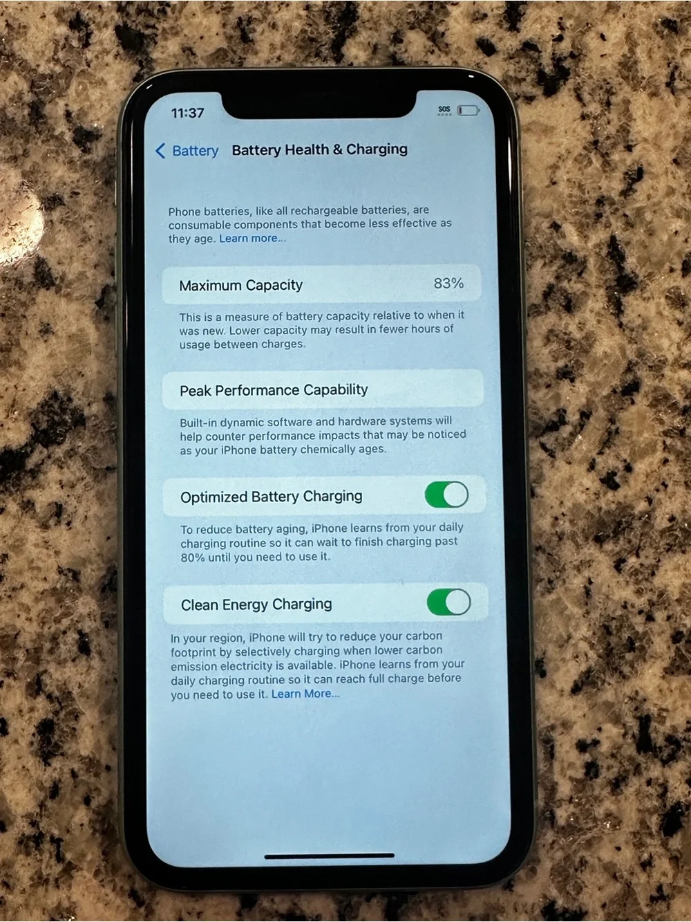 Apple iPhone 11 Mint Green Back Panel with Dual Camera *FULLY FUNCTIONAL*